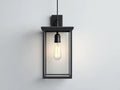 Lampada Da Parete Per Esterni 25×20×52 cm - metallo nero e vetro trasparente - lanterna verticale moderna